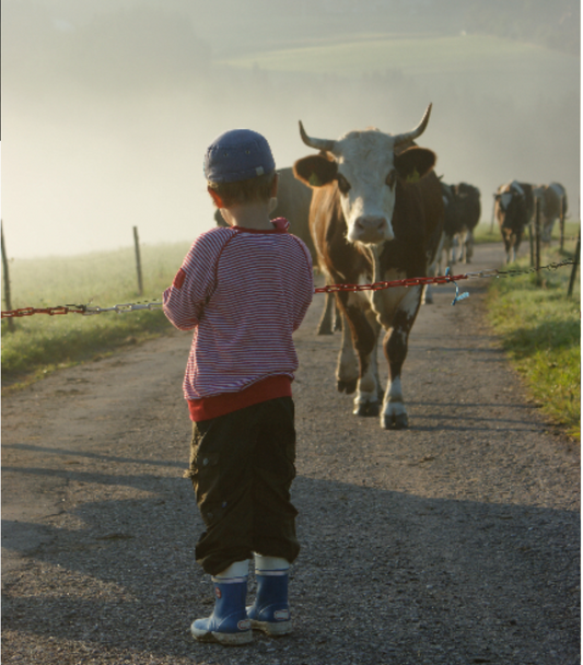 Ferien auf dem Bauernhof und Ferienwohnungen