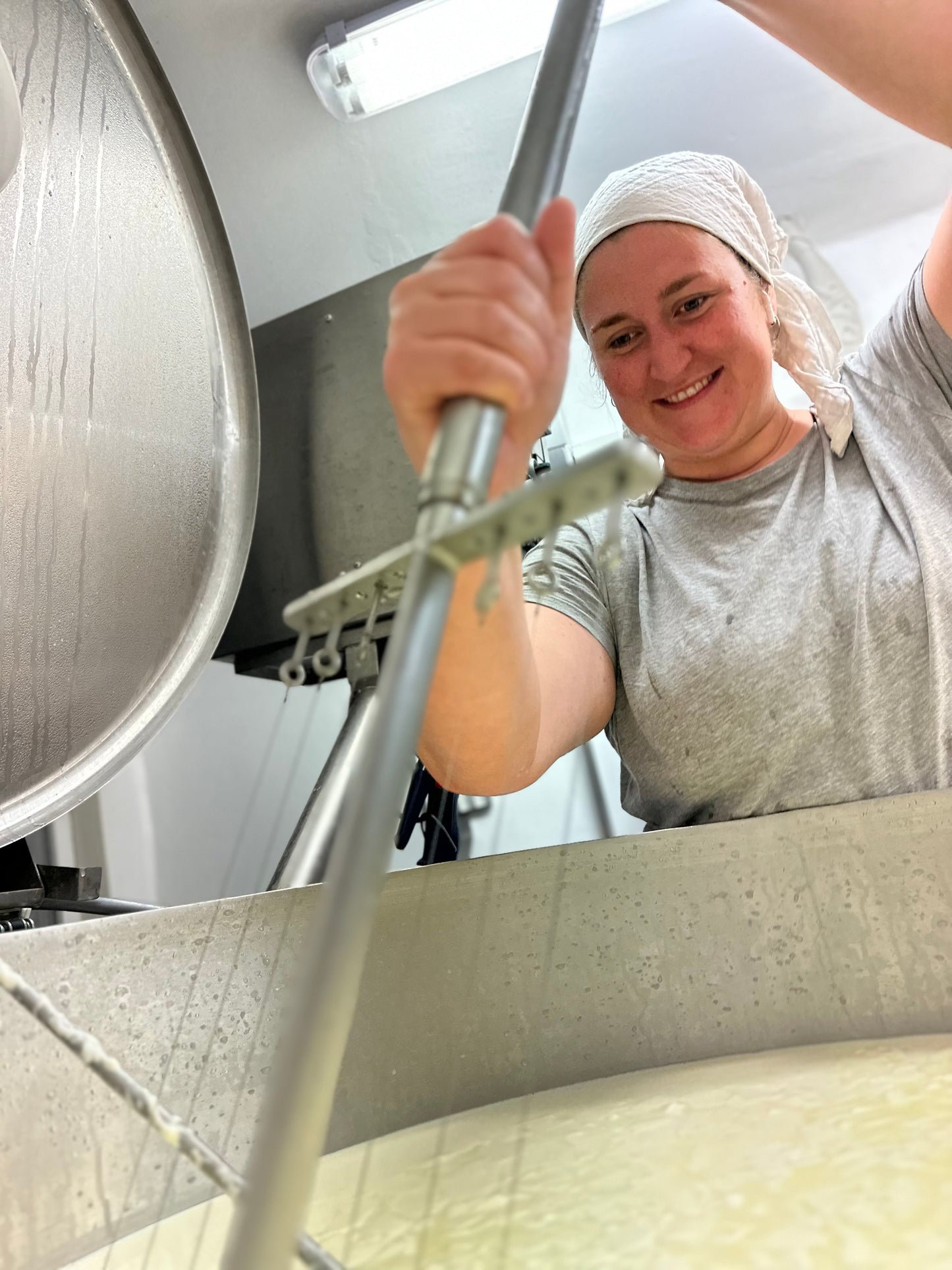 Grill&Pfannenkäs' Paket inkl. Express Kühlversand