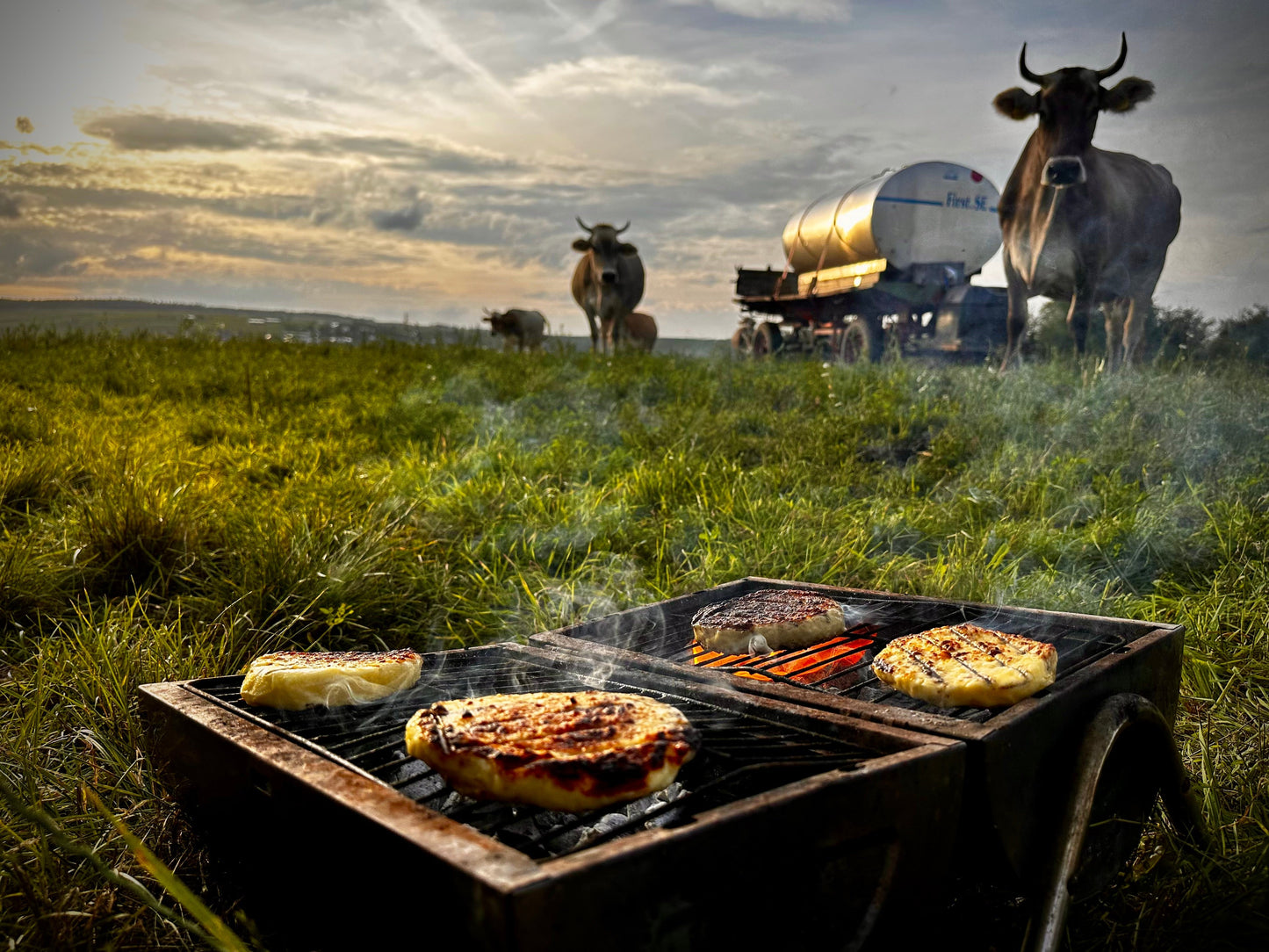 Gemischter Käsegruß von unseren Kühen! inkl. Express Kühlversand
