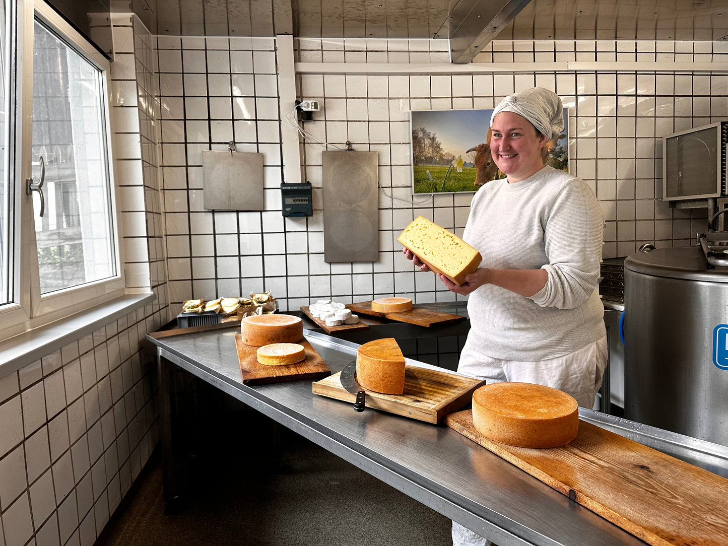 Gemischter Käsegruß von unseren Kühen! inkl. Express Kühlversand